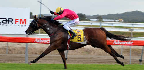 Raymond Spokes and Briefing are teaming up in tomorrow’s Bowraville Cup. Raymond Spokes and Briefing are teaming up in tomorrow’s Bowraville Cup.